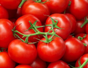 Pick and place vine tomatoes